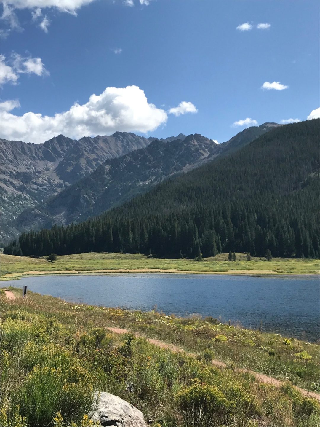 2018 Summertime in Avon Colorado - Where Lavender Roams